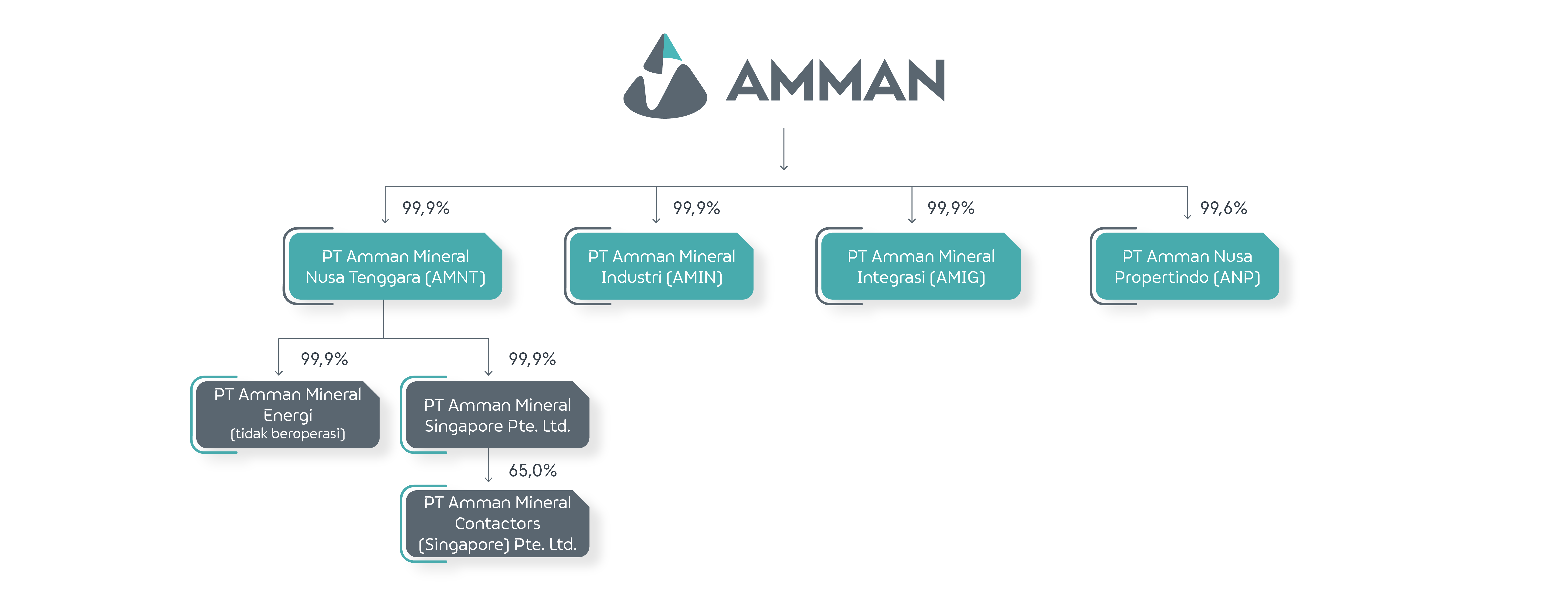 Struktur Grup AMMAN
